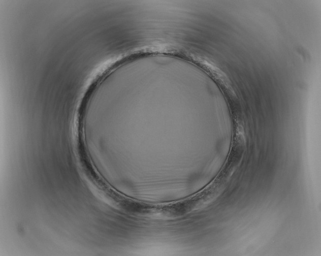 X0000112390678200909032014