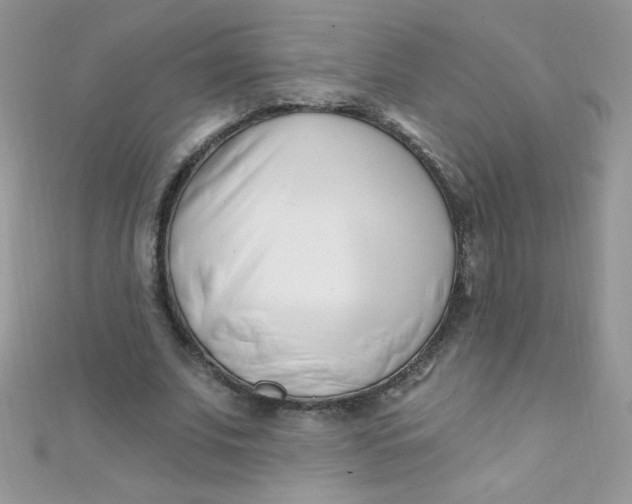 X0000112390679200909032014