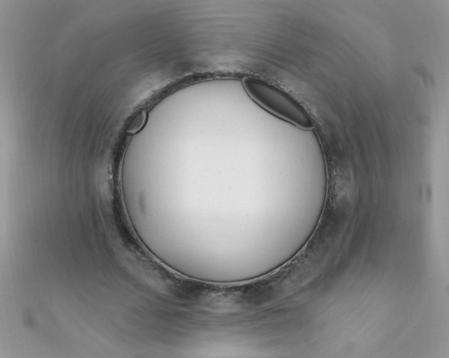 X0000112390680200909032014