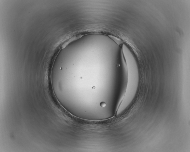 X0000112390681200909032014