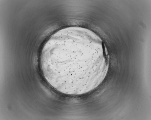 X0000112390683200909032014