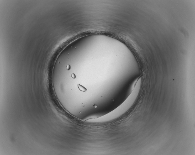 X0000112390684200909032014