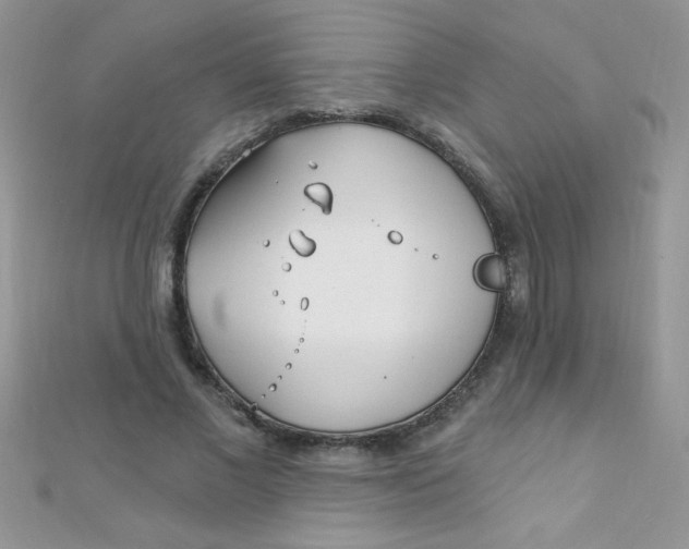 X0000112390685200909032014