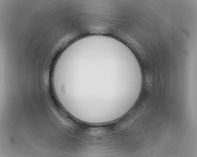 X0000112390686200909032014