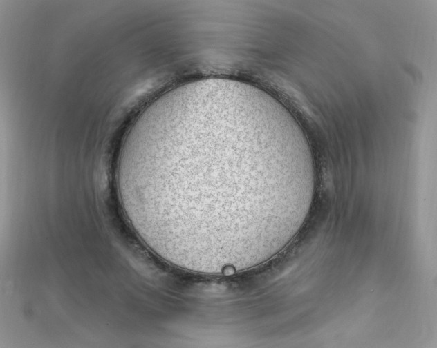 X0000112390687200909032014