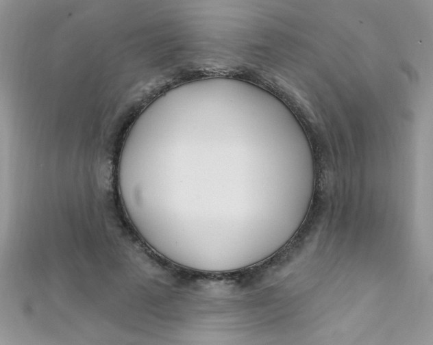 X0000112390689200909032014