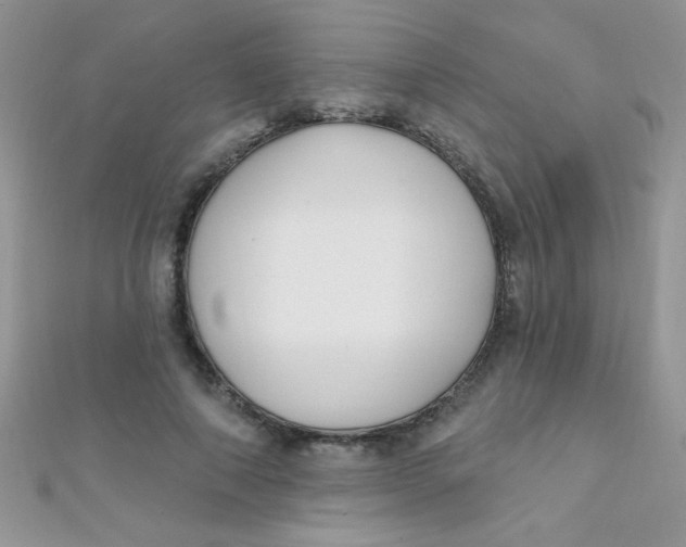 X0000112390690200909032014