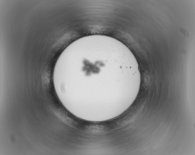 X0000112390691200909032014