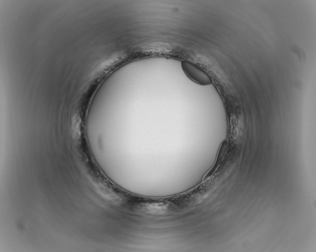 X0000112390692200909032014