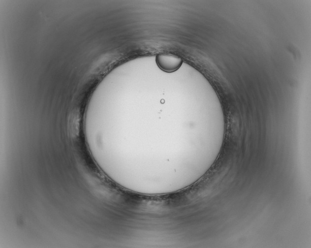 X0000112390694200909032014