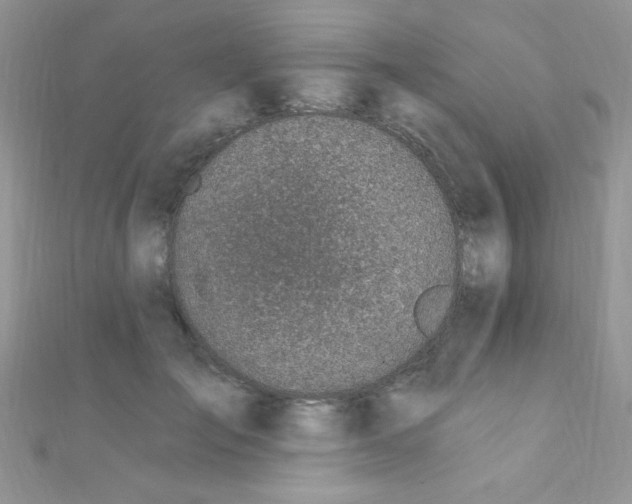 X0000112390701200909032014