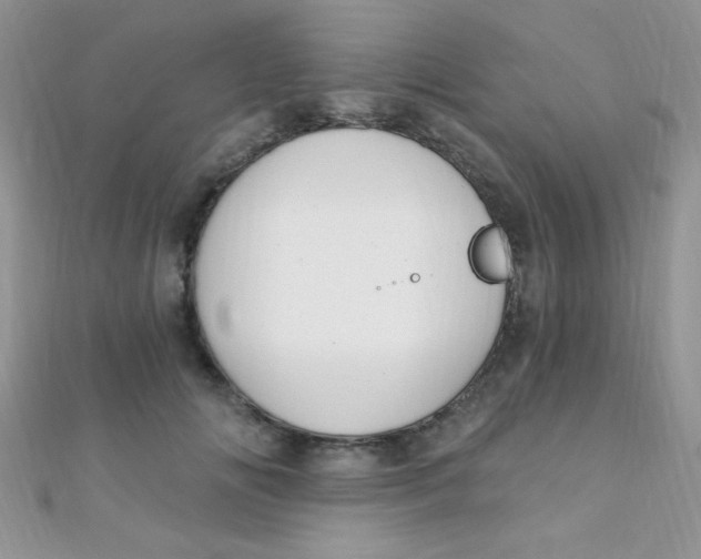 X0000112390702200909032014