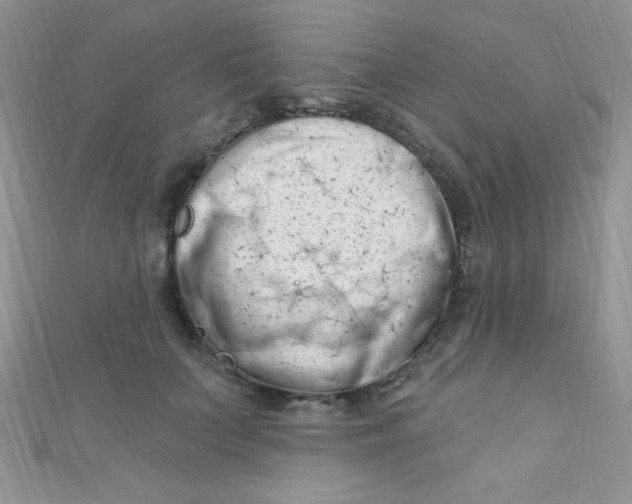 X0000112390703200909032014