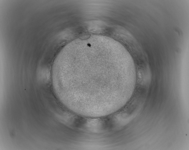 X0000112390705200909032014