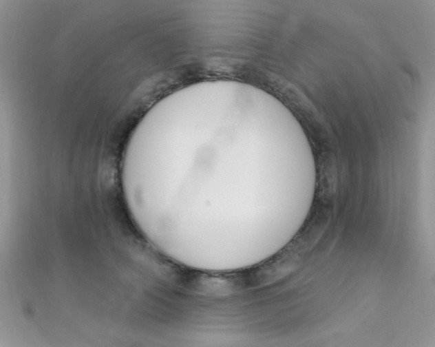 X0000112390706200909032014