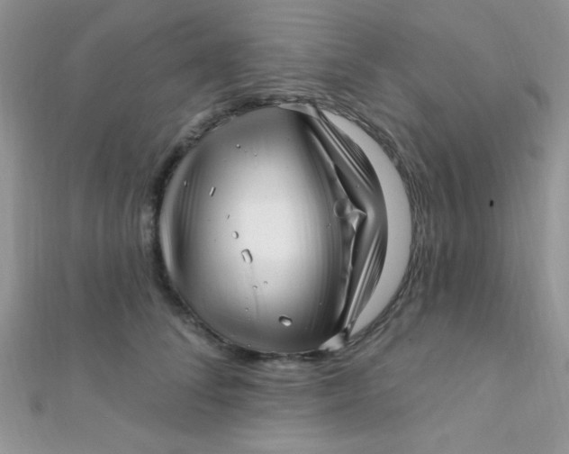 X0000112390708200909032014