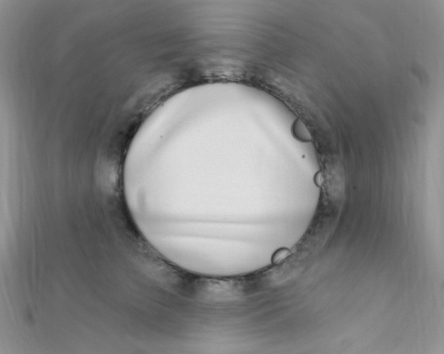 X0000112390709200909032014