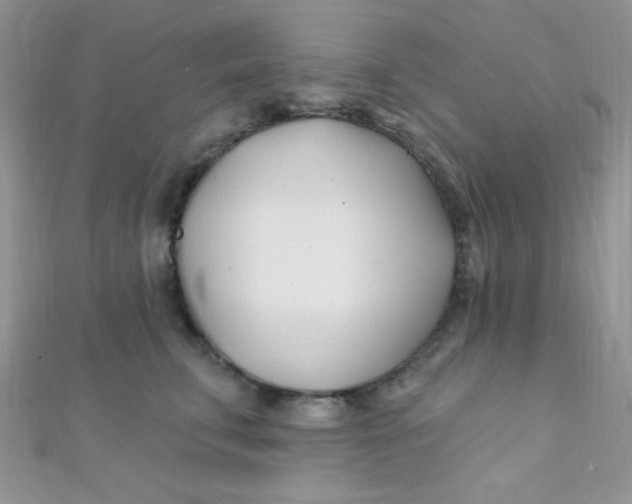 X0000112390711200909032014