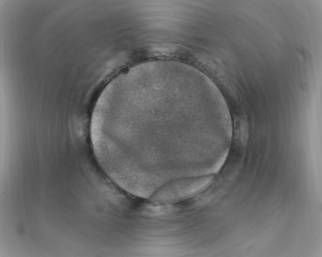 X0000112390712200909032014