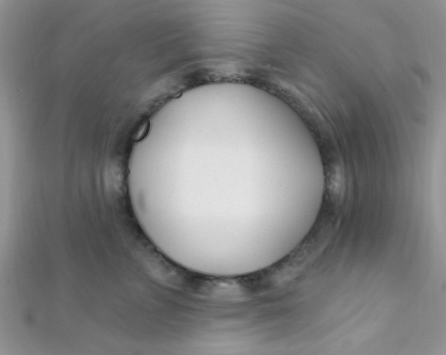 X0000112390715200909032014