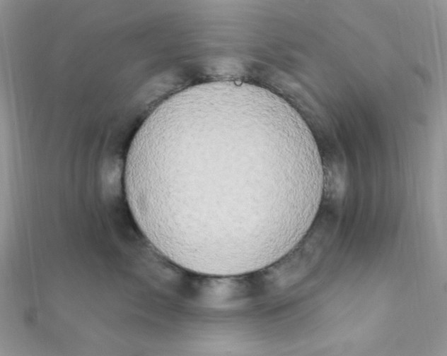 X0000112390717200909032014