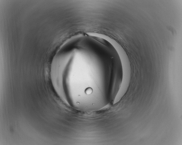 X0000112390720200909032014