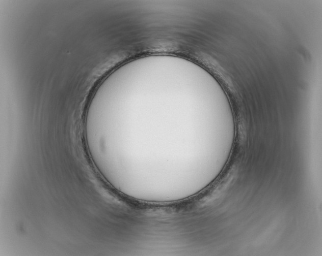 X0000112390721200909032013