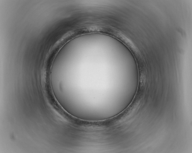 X0000112390722200909032013