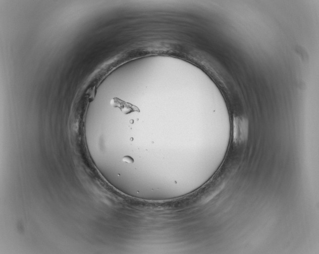 X0000112390723200909032013