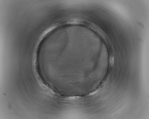 X0000112390724200909032013