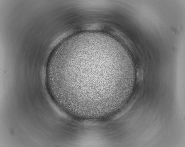 X0000112390725200909032013