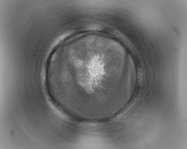 X0000112390726200909032013