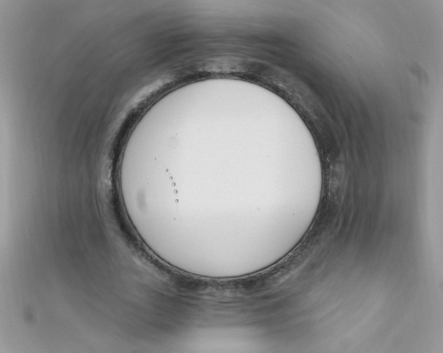 X0000112390727200909032013