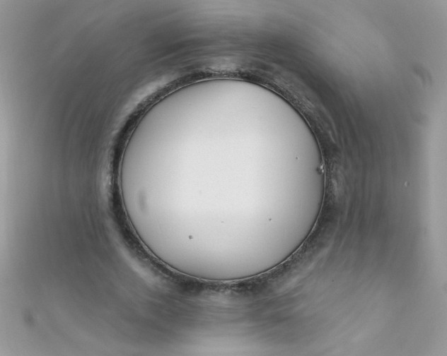 X0000112390728200909032013