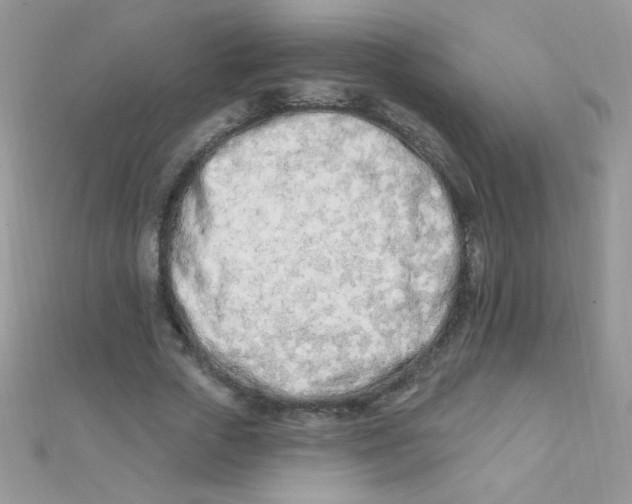 X0000112390729200909032013