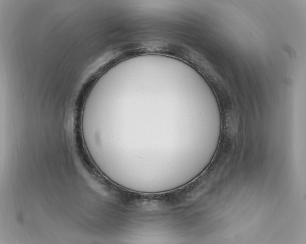 X0000112390730200909032013