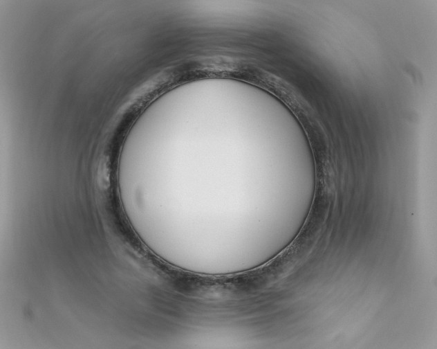 X0000112390731200909032013