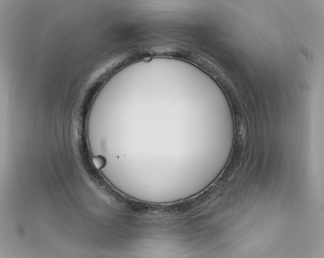 X0000112390732200909032013