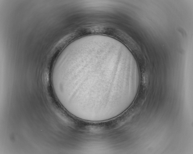 X0000112390733200909032013