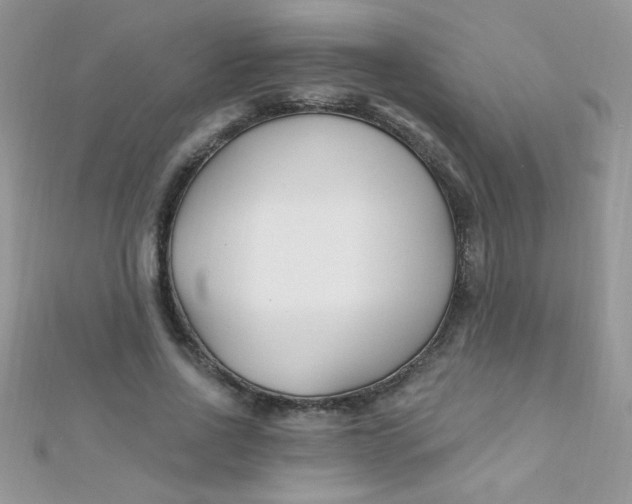 X0000112390734200909032013