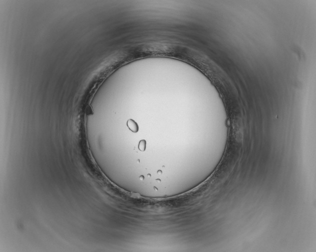 X0000112390735200909032013