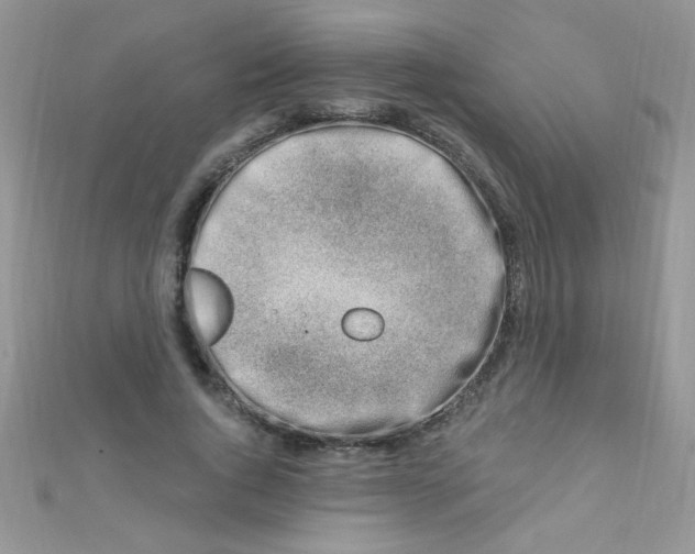 X0000112390736200909032013