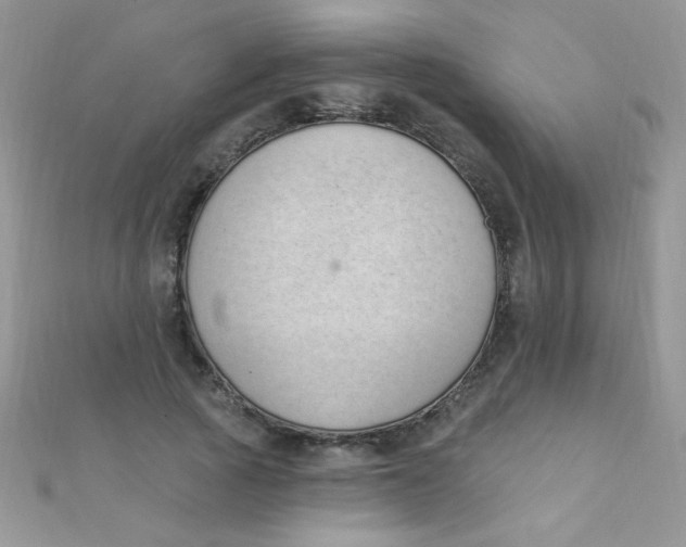 X0000112390737200909032013