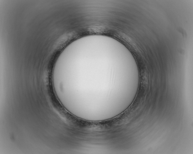 X0000112390738200909032013