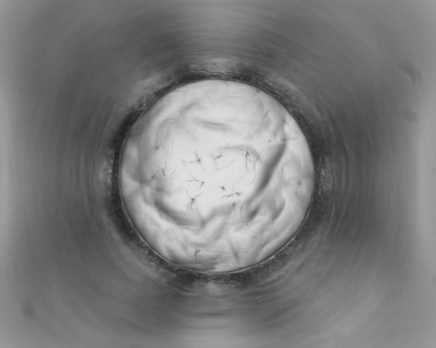 X0000112390739200909032013