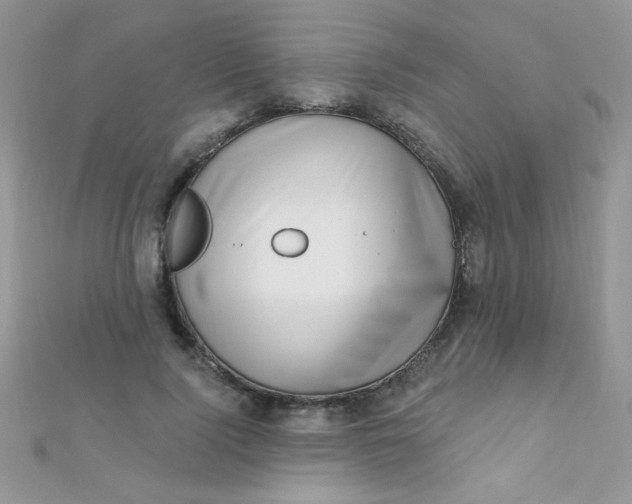 X0000112390740200909032013