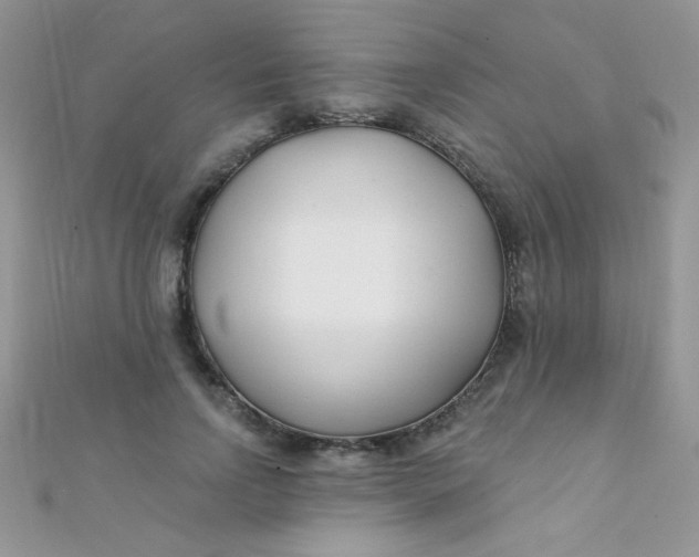 X0000112390742200909032013