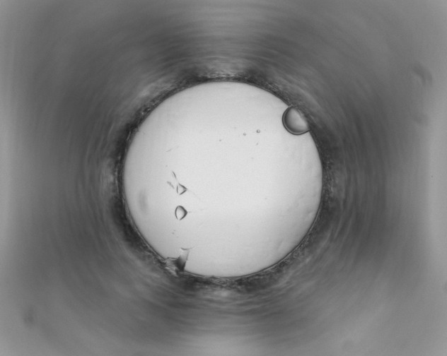 X0000112390743200909032013