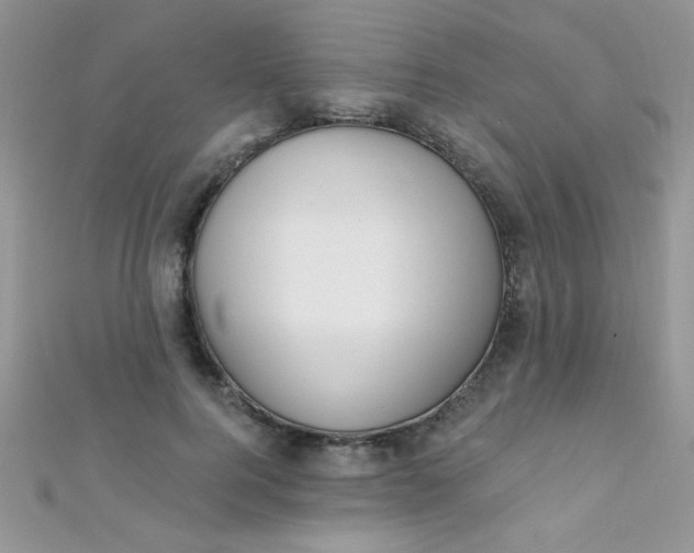 X0000112390744200909032013