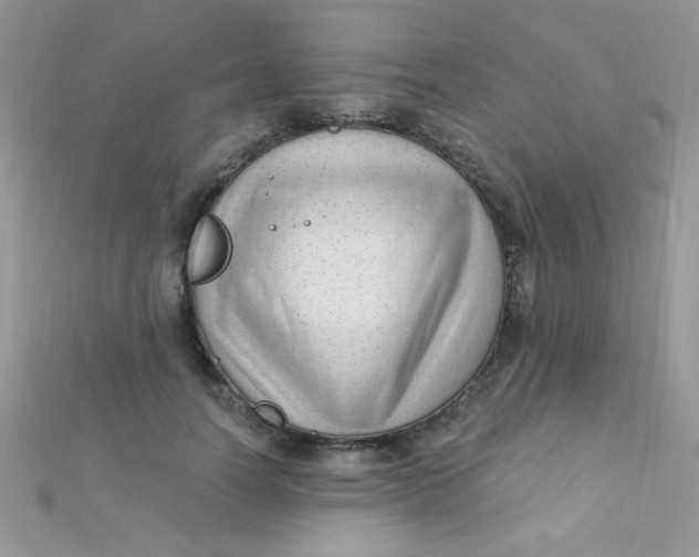 X0000112390746200909032013